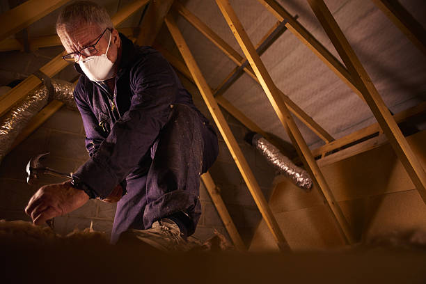 Best Specialty Insulation in Lufkin, TX